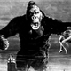 The original Kong.
